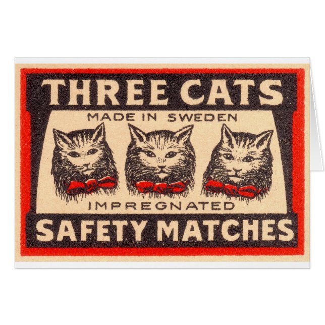  drie-katten veiligheidsmatchen (Voorkant Horizontaal)