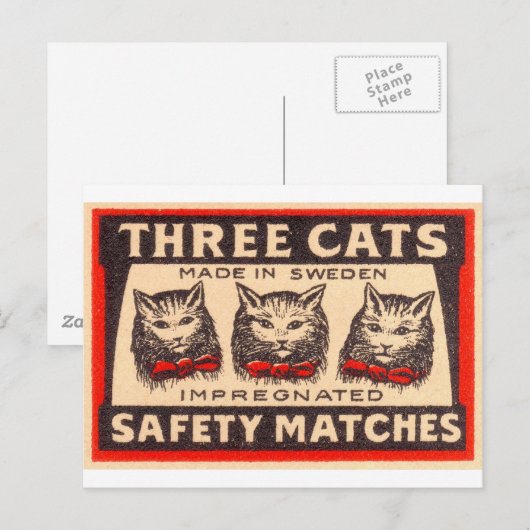 drie-katten veiligheidsmatchen briefkaart (Voorkant / Achterkant)