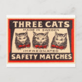  drie-katten veiligheidsmatchen briefkaart (Voorkant)