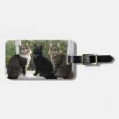 Drie Kattenvrienden Bagagelabel (Voorkant horizontaal)