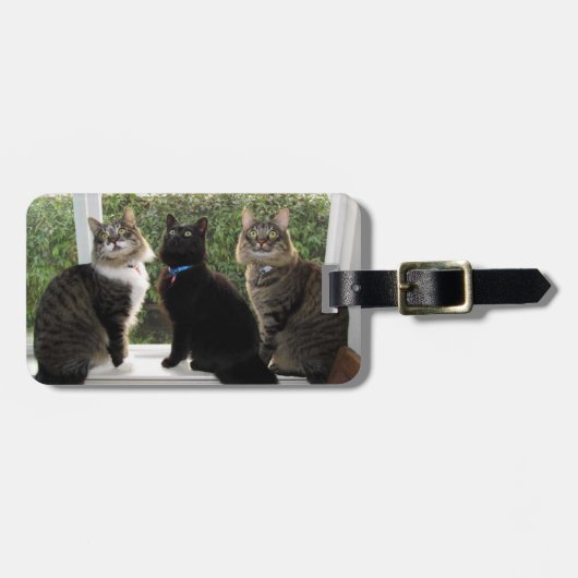Drie Kattenvrienden Bagagelabel (Voorkant horizontaal)