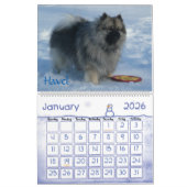 Drie Keesateers van Verborgen Meadow in Kalender (Jan 2026)