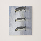 Drie keizerpenguins, Snow Hill Island Legpuzzel (Verticaal)