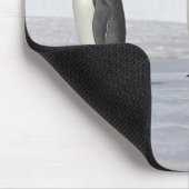 Drie keizerpenguins, Snow Hill Island Muismat (Hoek)