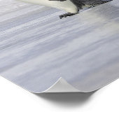 Drie keizerpenguins, Snow Hill Island Poster (Hoek)