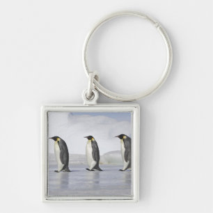 Drie keizerpenguins, Snow Hill Island Sleutelhanger