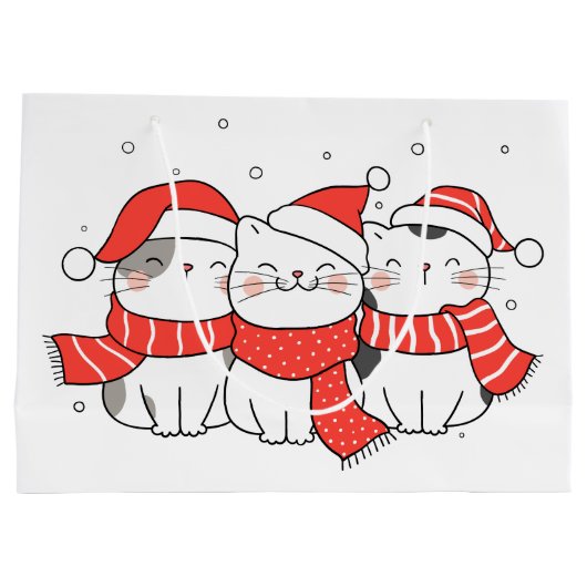 Drie kerstkatten in Petten en sjaals Groot Cadeauzakje (Achterkant)