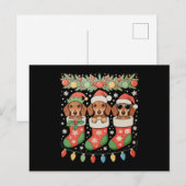 Drie Kerstman Elf Dachshunds Kerst Soks Grappig Feestdagenkaart (Voorkant / Achterkant)
