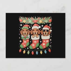 Drie Kerstman Elf Dachshunds Kerst Soks Grappig Feestdagenkaart