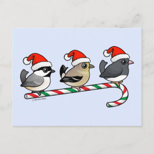 Drie Kerstmis Finches (vs) Feestdagenkaart
