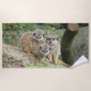 Drie keukenhanddoeken van de Kute Meerkat Strandlaken