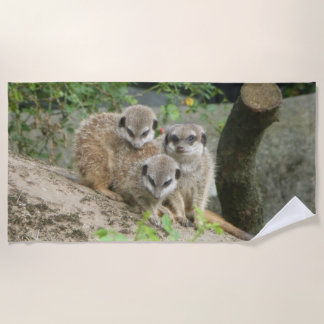 Drie keukenhanddoeken van de Kute Meerkat Strandlaken