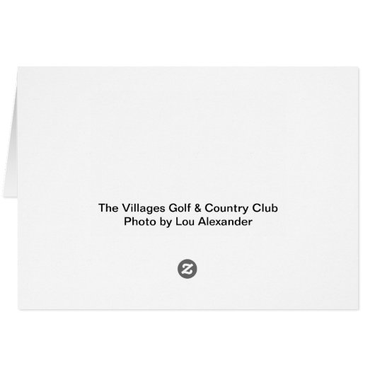 Drie kijkt naar de camera (Achterkant Horizontaal)