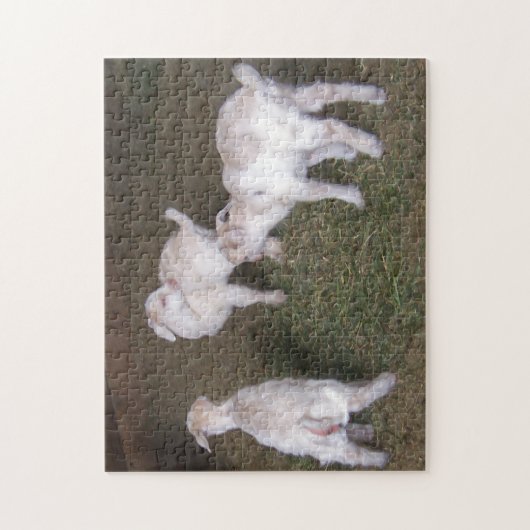 Drie Kinderen van kleine geiten Legpuzzel (Verticaal)