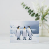 Drie King Penguins Briefkaart (Staand voorkant)