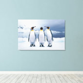 Drie King Penguins Canvas Afdruk (Insitu (Houten vloer))