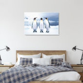 Drie King Penguins Canvas Afdruk (Insitu (Slaapkamer))