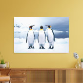 Drie King Penguins Canvas Afdruk (Insitu (Woonkamer))