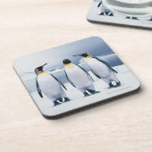 Drie King Penguins Drankjes Onderzetter (Linkerzijde)