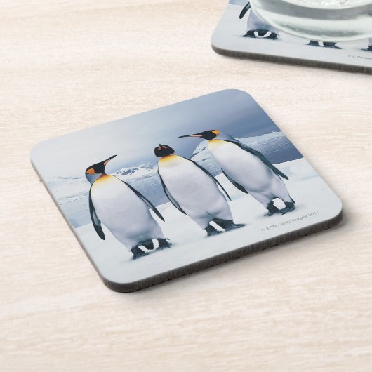 Drie King Penguins Drankjes Onderzetter (Linkerzijde)
