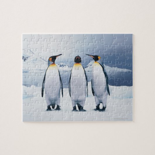 Drie King Penguins Legpuzzel (Horizontaal)