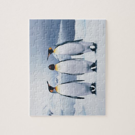Drie King Penguins Legpuzzel (Verticaal)