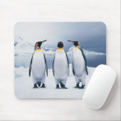 Drie King Penguins Muismat (Met muis)