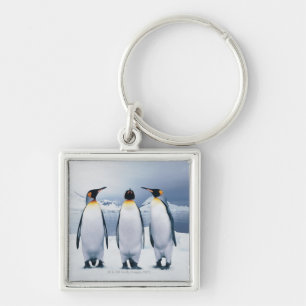 Drie King Penguins Sleutelhanger