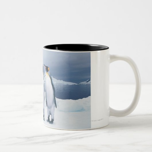 Drie King Penguins Tweekleurige Koffiemok (Rechts)