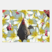 Drie kipfilmpjes, cadeauverpakking, Design voor on Inpakpapier Vel (Voorkant 3)