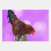 Drie kipfilmpjes, cadeauverpakking, Design voor on Inpakpapier Vel (Voorkant 2)