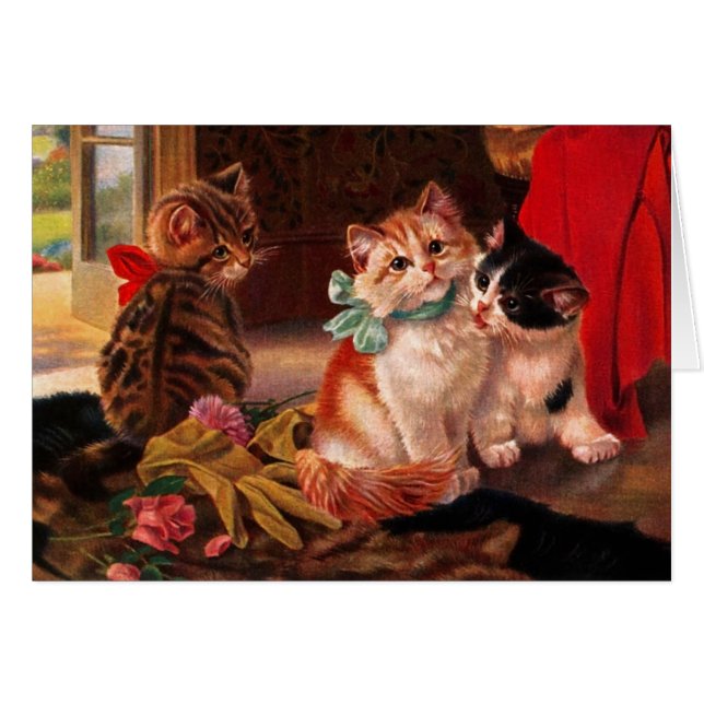 Drie  Kitten Kaart (Voorkant Horizontaal)