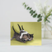 Drie kittens die elkaar knuffelen briefkaart (Staand voorkant)