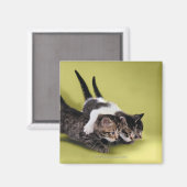 Drie kittens die elkaar knuffelen magneet (Voorkant / Achterkant)