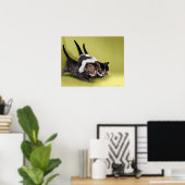 Drie kittens die elkaar knuffelen poster (Thuiskantoor)