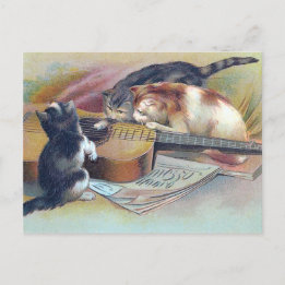 Drie Kittens en een Guitar Illustratie Briefkaart