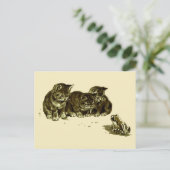 Drie Kittens en een kikker Briefkaart (Staand voorkant)