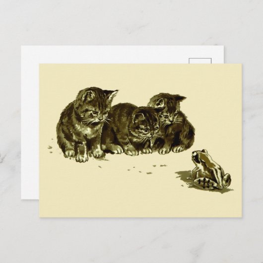 Drie Kittens en een kikker Briefkaart (Voorkant / Achterkant)