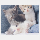 Drie Kittens Fleece Blanket (Voorkant (Horizontaal))