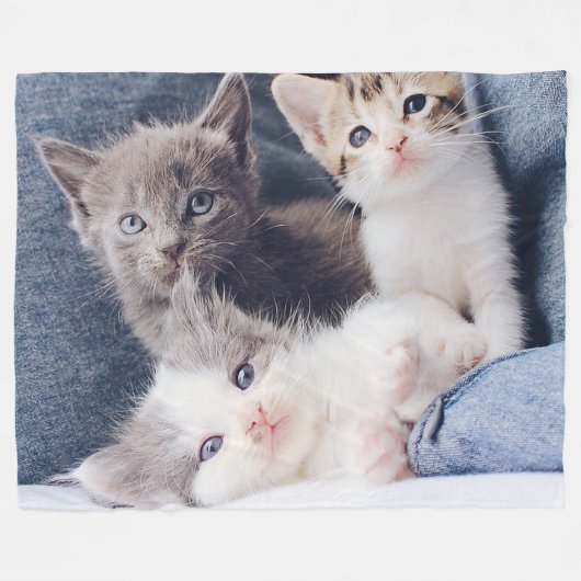 Drie Kittens Fleece Blanket (Voorkant (Horizontaal))