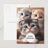 Drie Kittens Gelukkige Verjaardag Ansichtkaart Briefkaart (Voorkant / Achterkant)