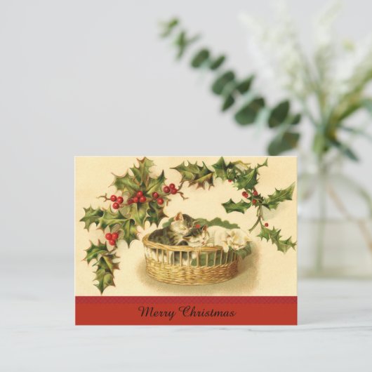 Drie Kittens in een mandje Briefkaart (Staand voorkant)