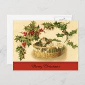 Drie Kittens in een mandje Briefkaart (Voorkant / Achterkant)