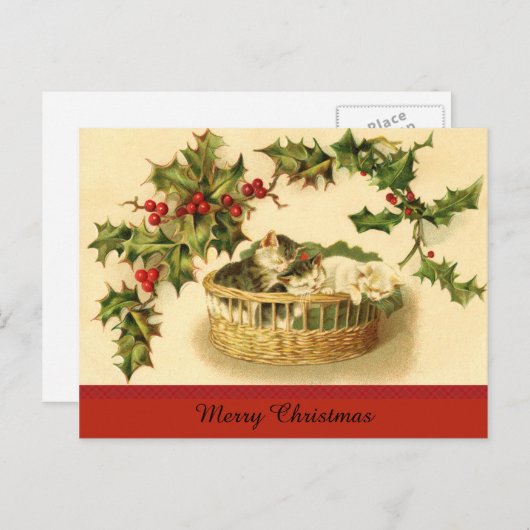 Drie Kittens in een mandje Briefkaart (Voorkant / Achterkant)