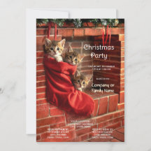 Drie Kittens in een Rode Kous Kerstfeest