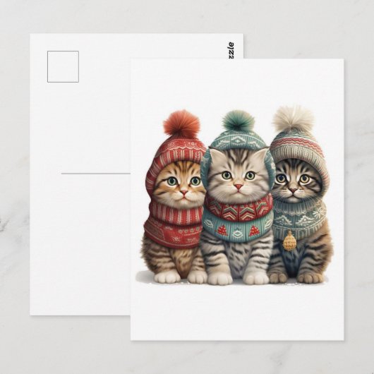 Drie Kittens in truien Briefkaart (Voorkant / Achterkant)