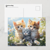 Drie Kittens in Tuinmadeliefjes Briefkaart (Voorkant / Achterkant)