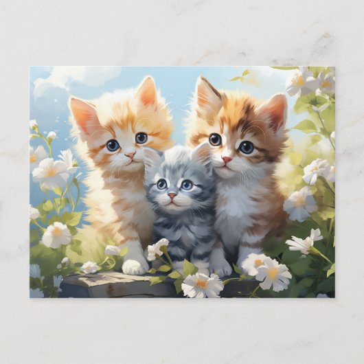Drie Kittens in Tuinmadeliefjes Briefkaart (Voorkant)