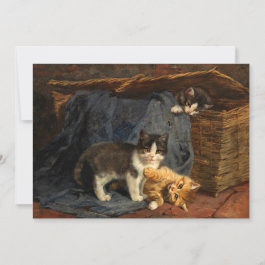 Drie Kittens | Julius Adam de Jongere (Voorkant)