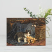 Drie Kittens | Julius Adam de Jongere (Staand voorkant)